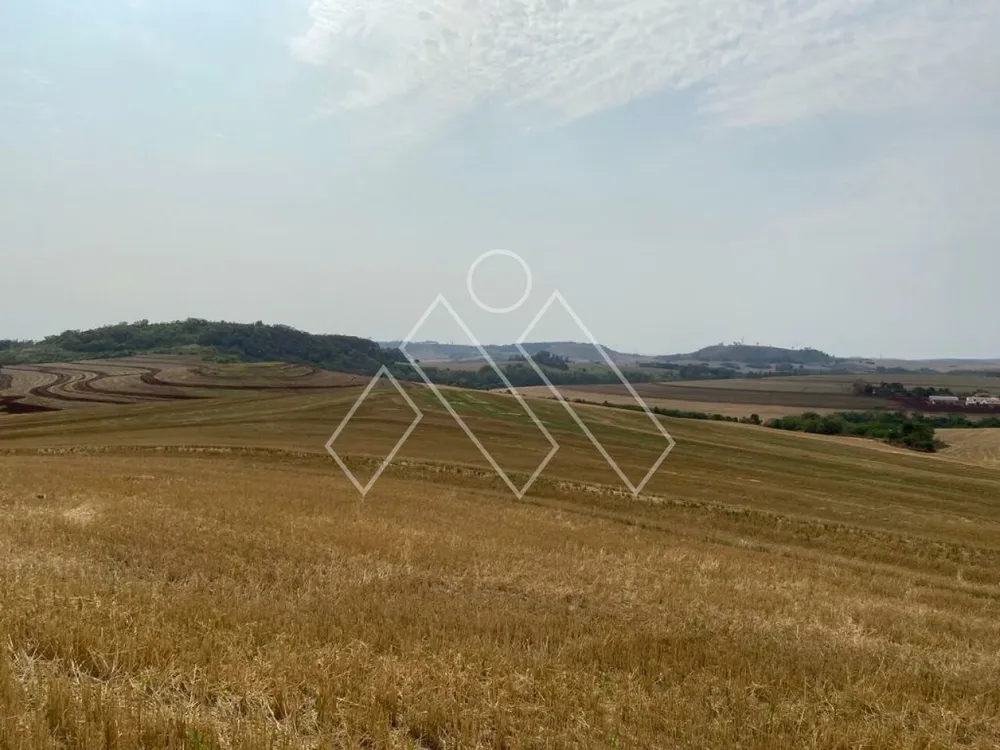 Fazenda, 172 hectares - Foto 6