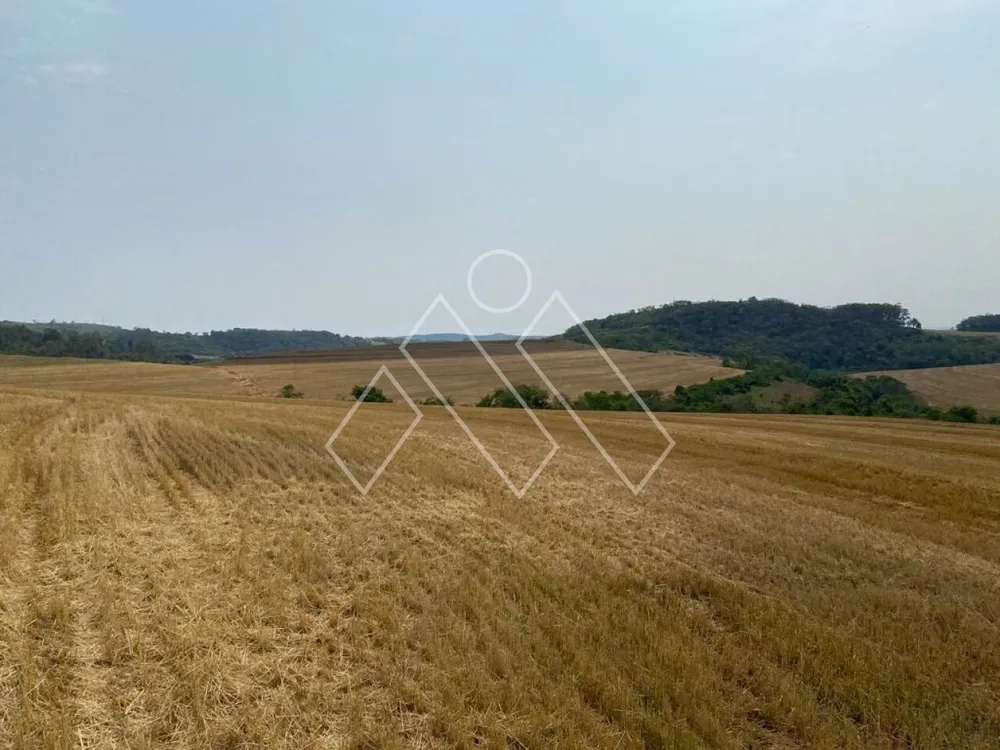 Fazenda, 172 hectares - Foto 3