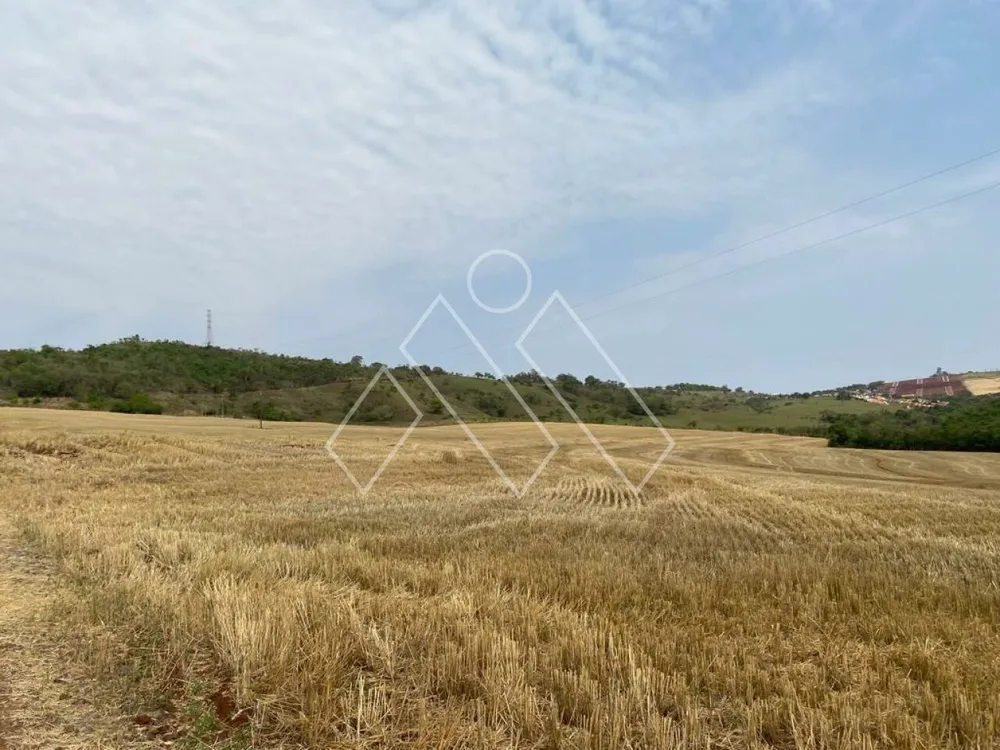 Fazenda, 172 hectares - Foto 4