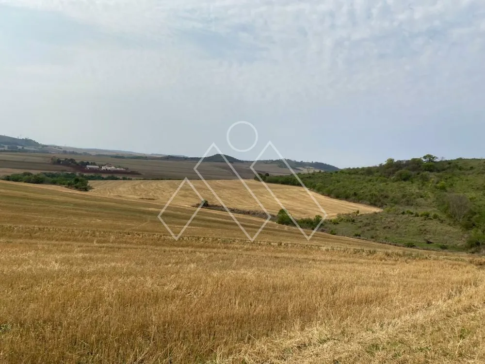 Fazenda, 172 hectares - Foto 8