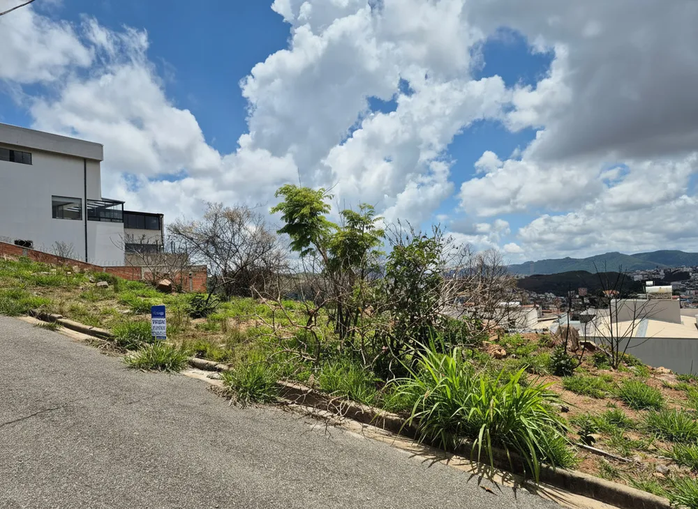 Terreno, 250 m² - Foto 3