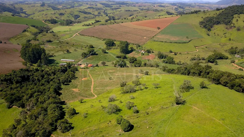 Chácara, 3 quartos, 24 hectares - Foto 6