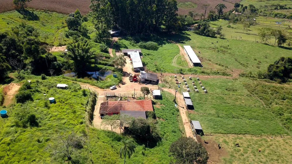 Chácara, 3 quartos, 24 hectares - Foto 5