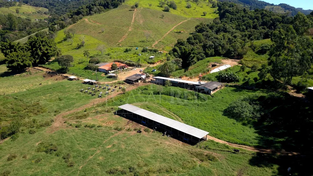 Chácara, 3 quartos, 24 hectares - Foto 4