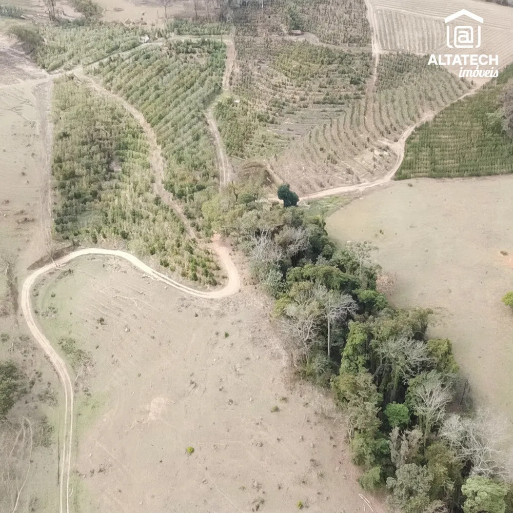 Sítio, 3 quartos, 16 hectares - Foto 1