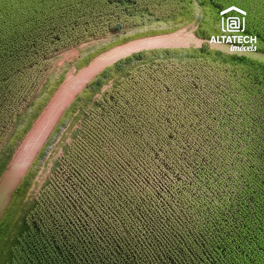 Fazenda, 48 hectares - Foto 1