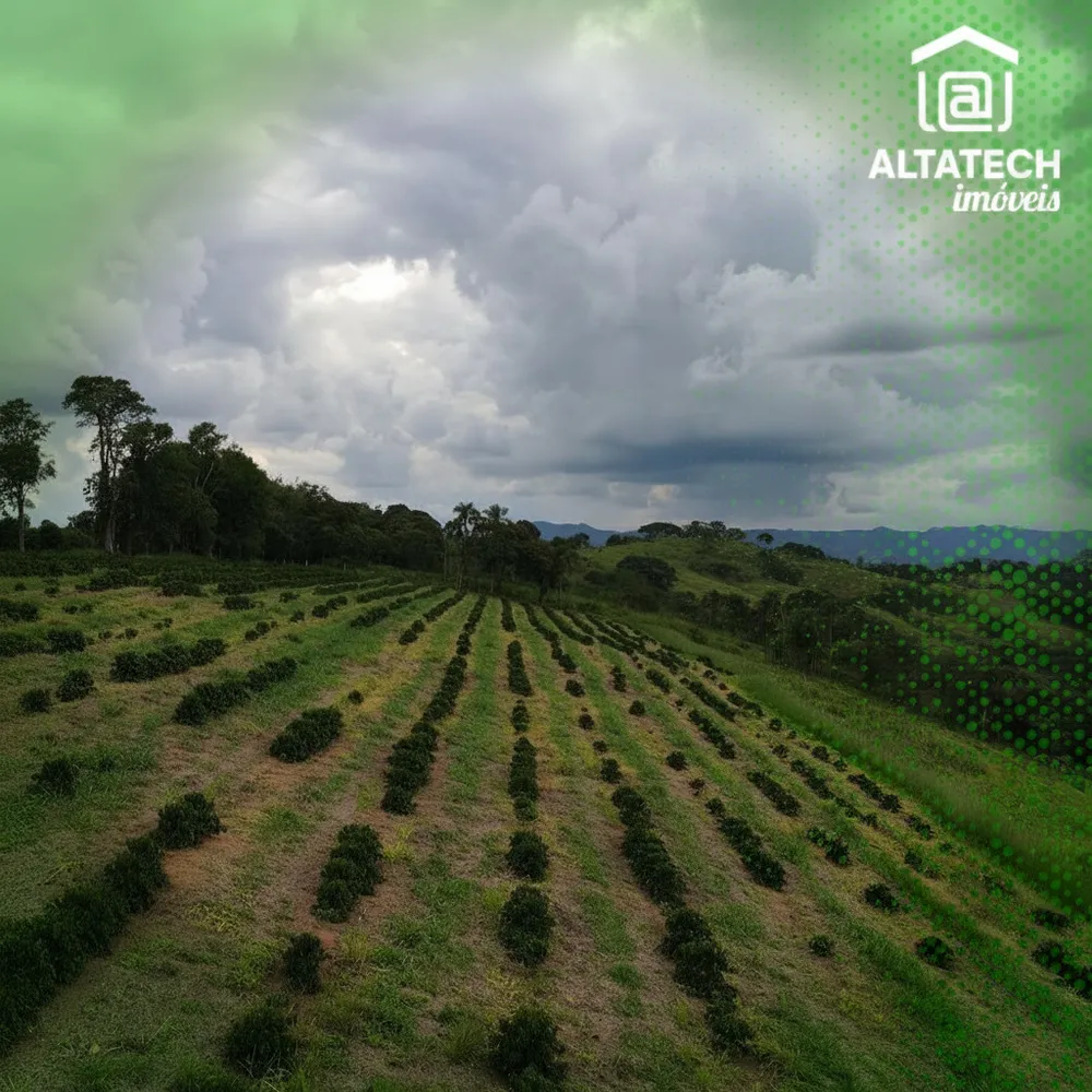 Fazenda, 48 hectares - Foto 4