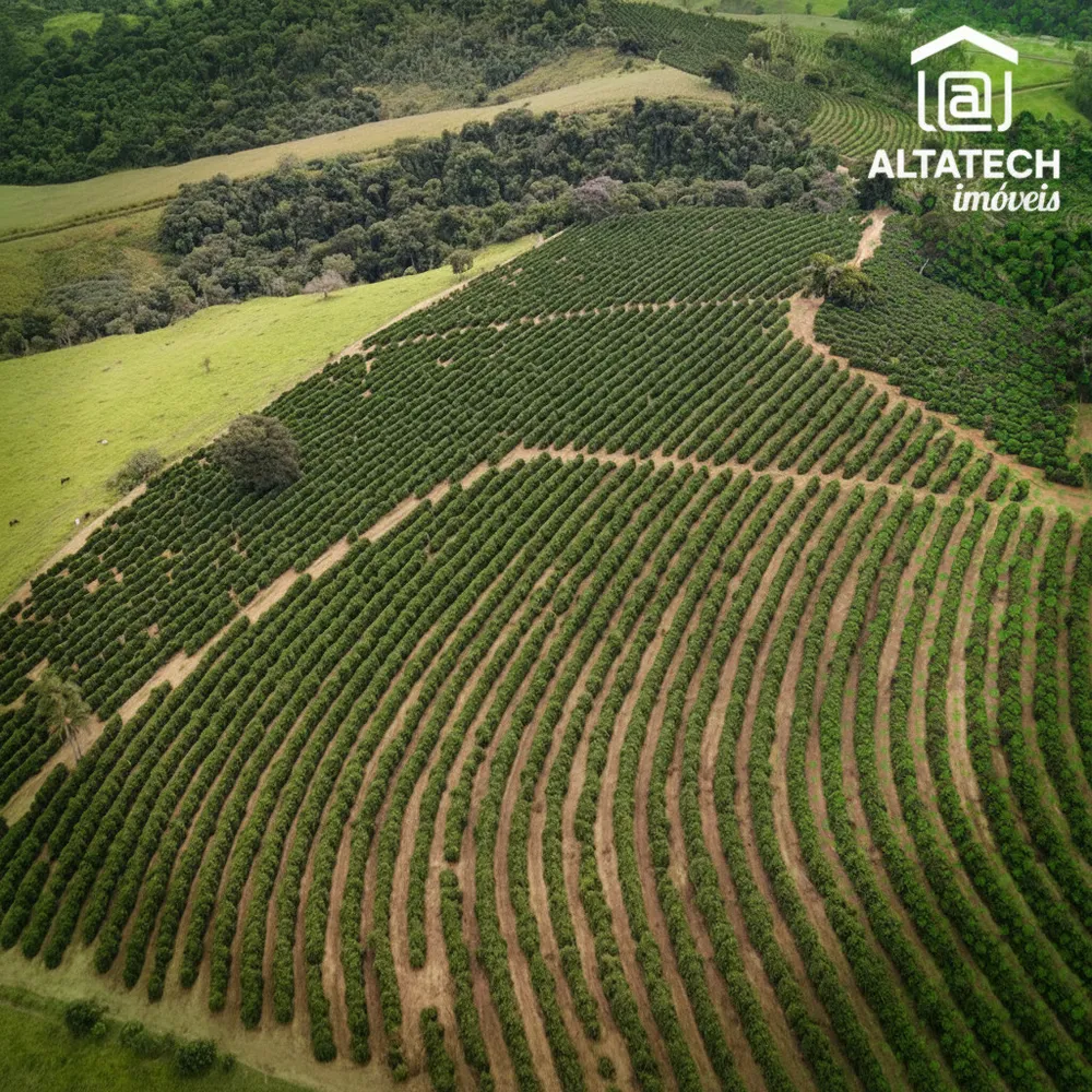 Fazenda, 48 hectares - Foto 6