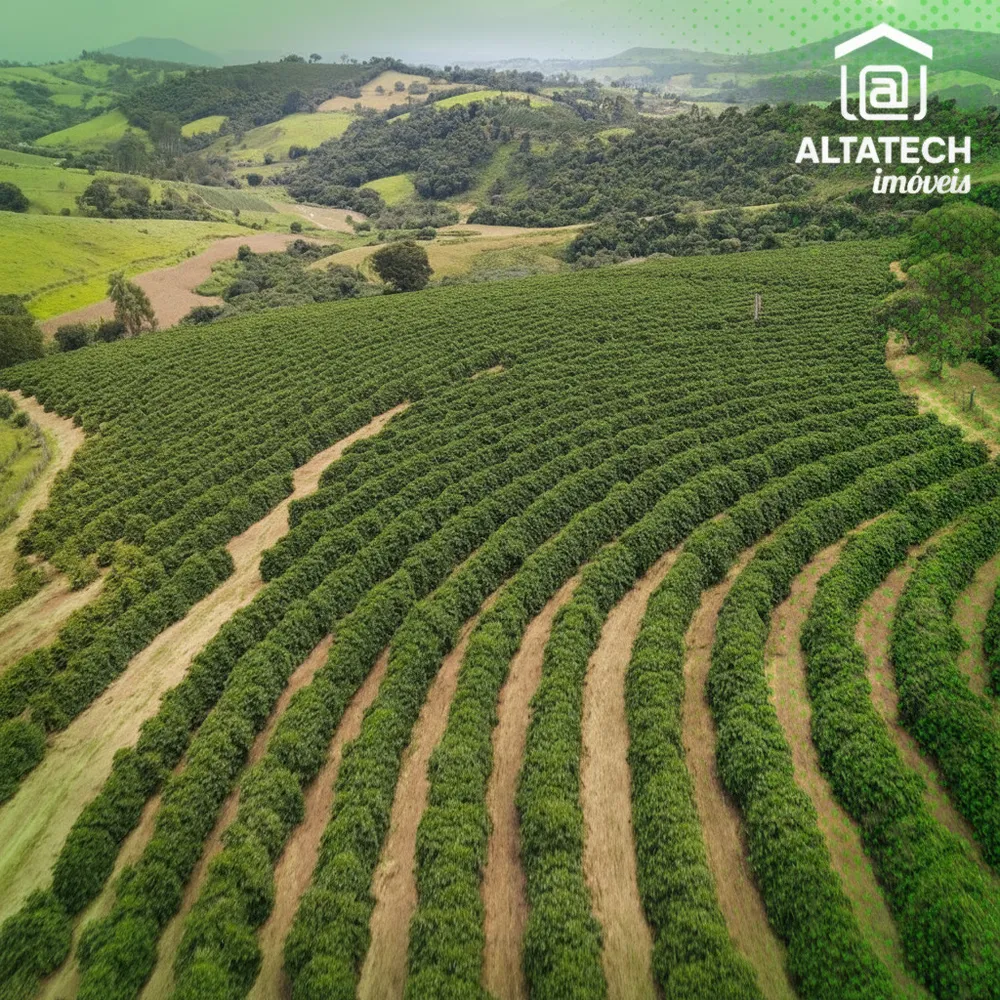 Fazenda, 48 hectares - Foto 2