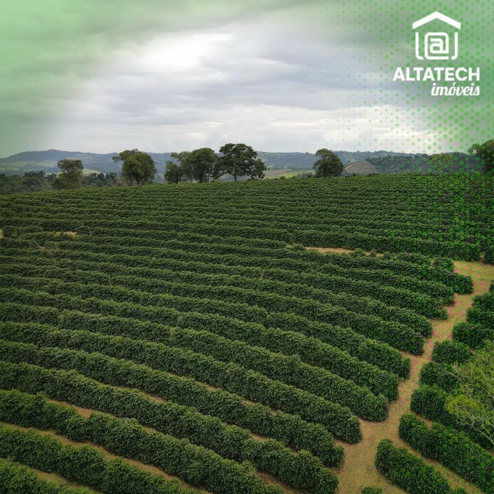 Fazenda, 48 hectares - Foto 8