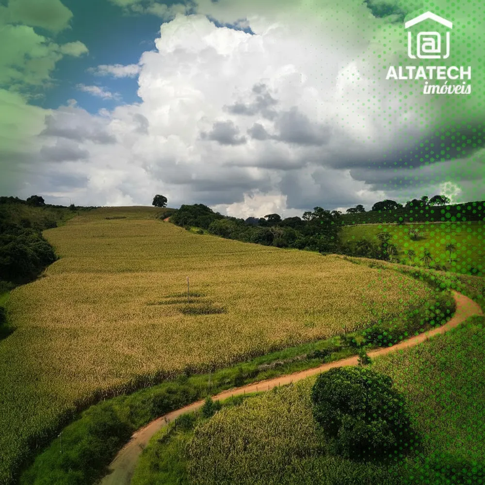 Fazenda, 48 hectares - Foto 3
