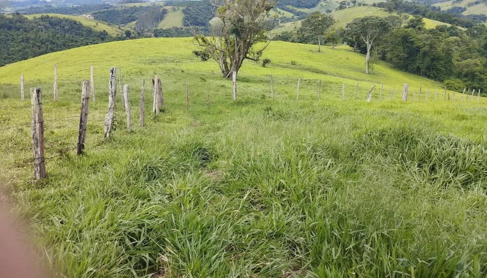 Sítio, 80 hectares - Foto 7