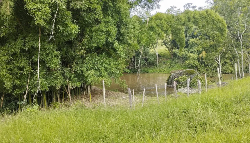 Sítio, 80 hectares - Foto 4