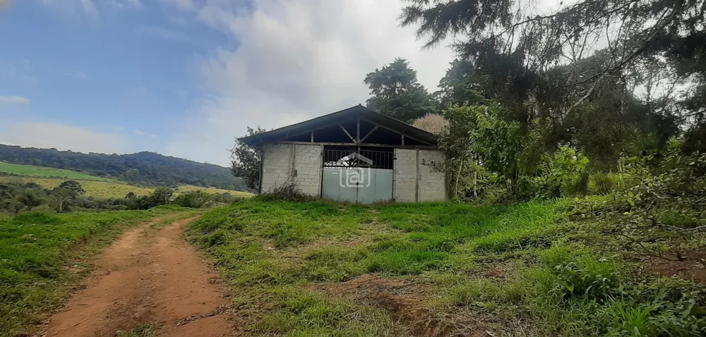 Fazenda, 339 hectares - Foto 1