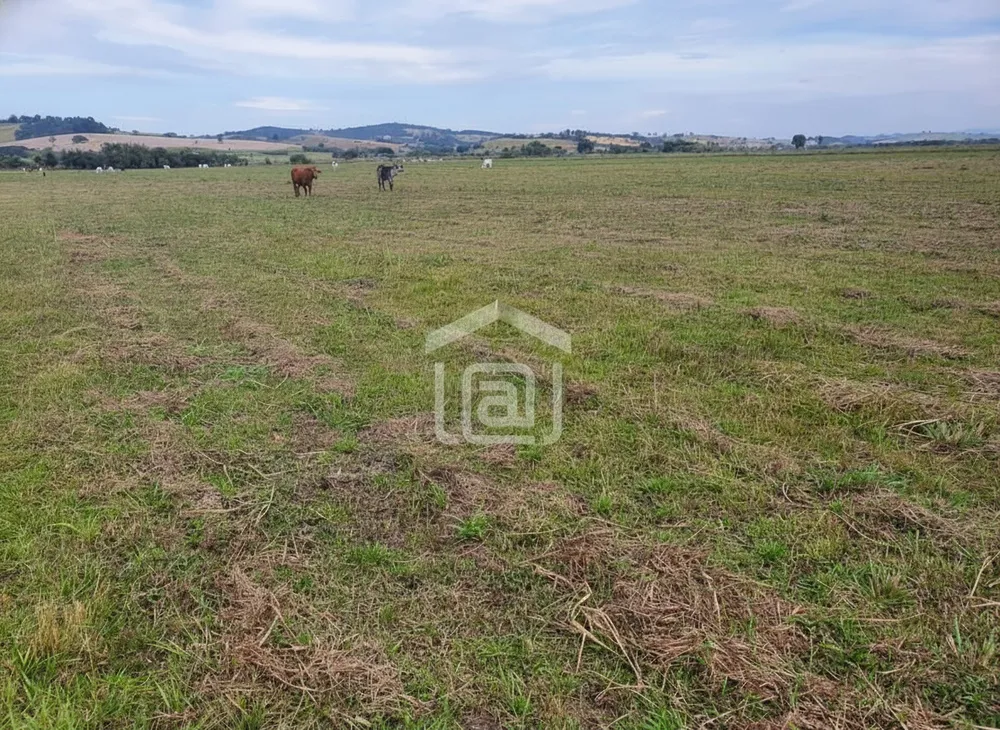 Fazenda, 339 hectares - Foto 2