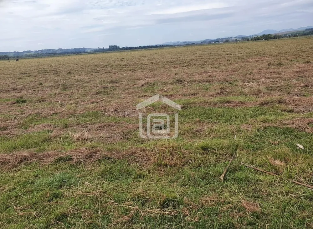 Fazenda, 339 hectares - Foto 3