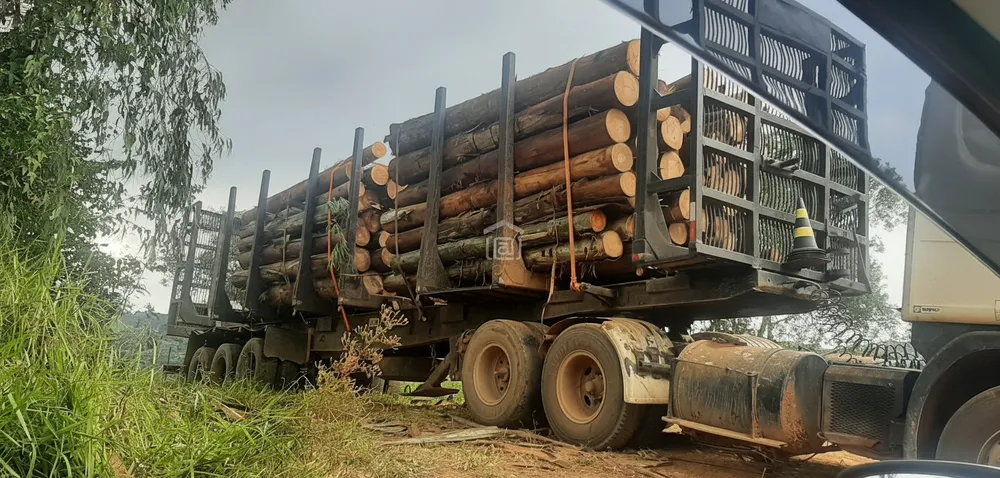 Fazenda, 339 hectares - Foto 4
