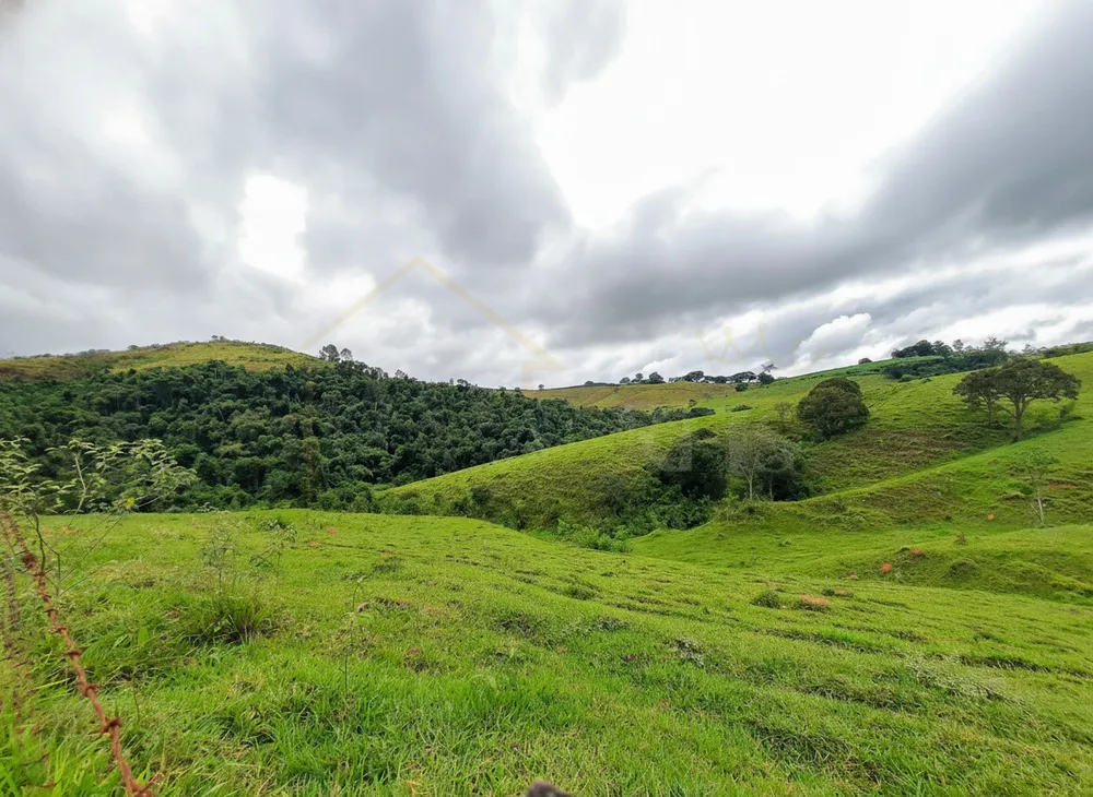 Sítio, 66 hectares - Foto 4