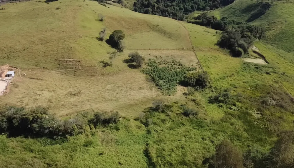 Chácara, 5 hectares - Foto 4