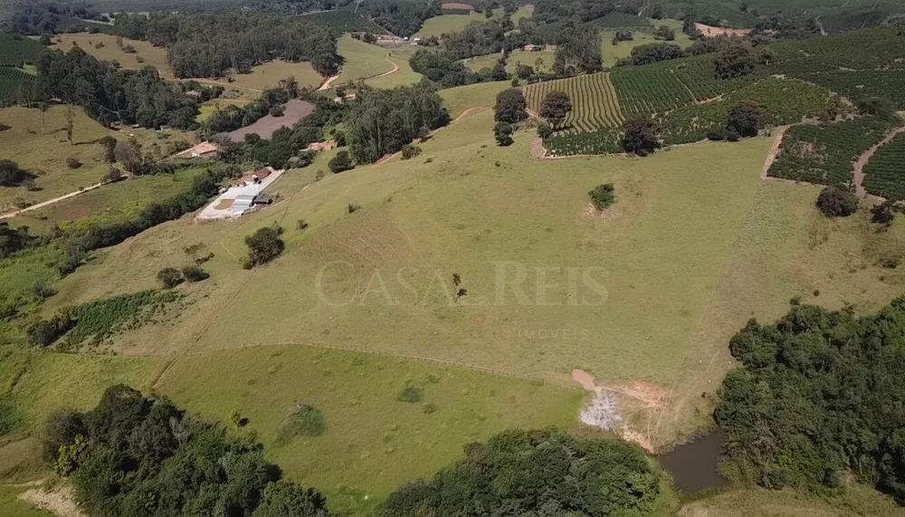 Chácara, 5 hectares - Foto 3