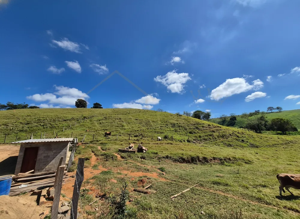 Chácara, 5 hectares - Foto 1