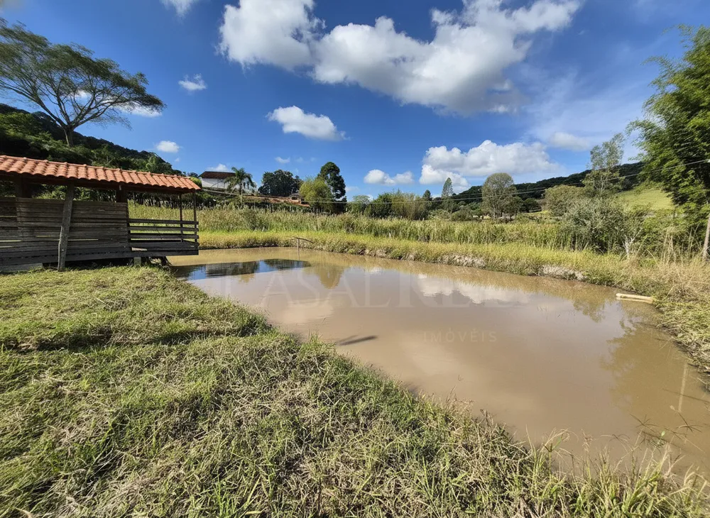 Chácara, 3 quartos, 4 hectares - Foto 6