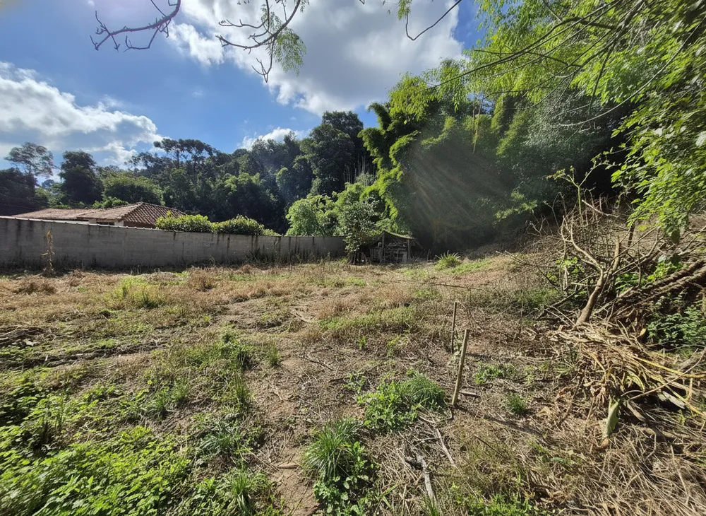 Chácara, 3 quartos, 4 hectares - Foto 7