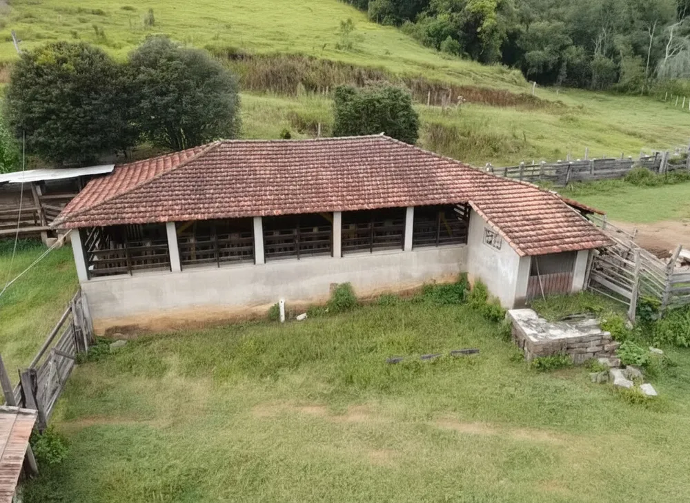 Sítio, 3 quartos, 53 hectares - Foto 1