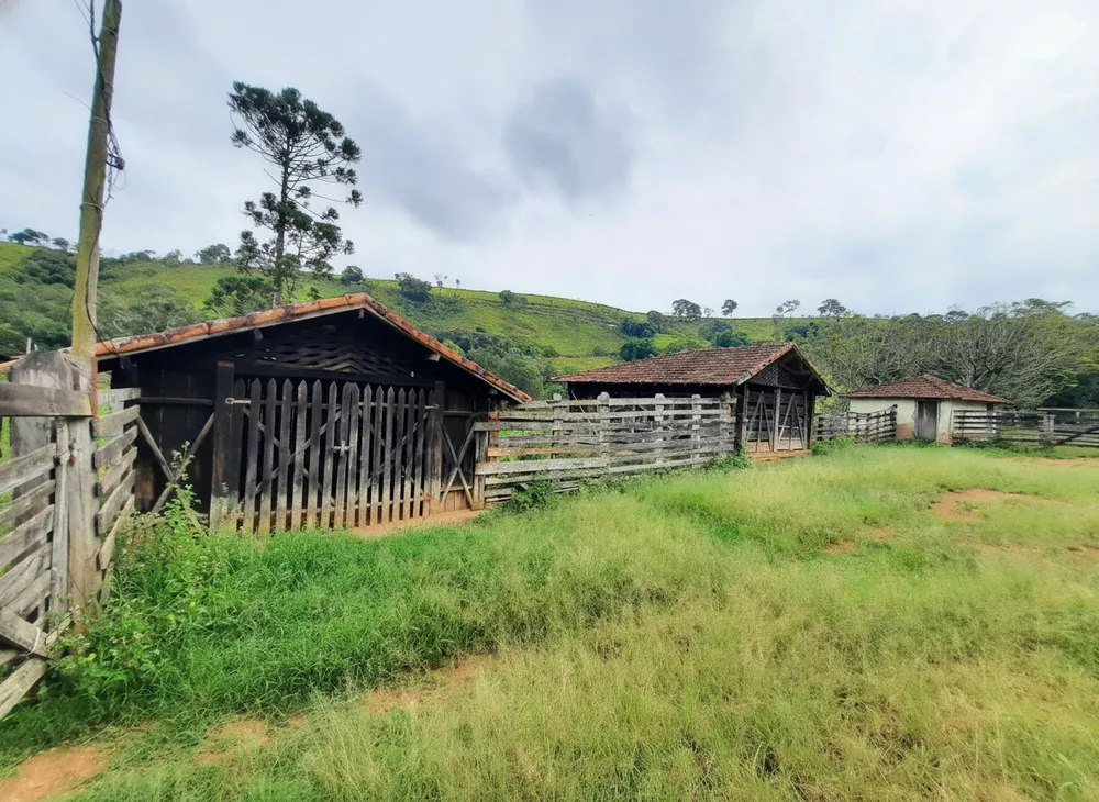Sítio, 3 quartos, 53 hectares - Foto 7