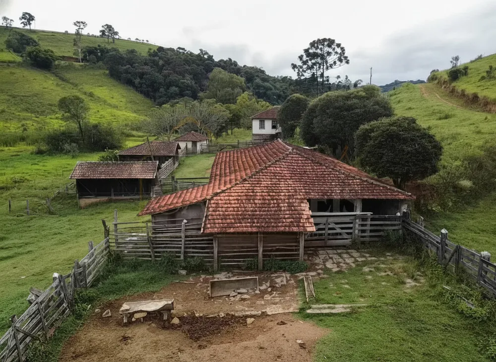 Sítio, 3 quartos, 53 hectares - Foto 3
