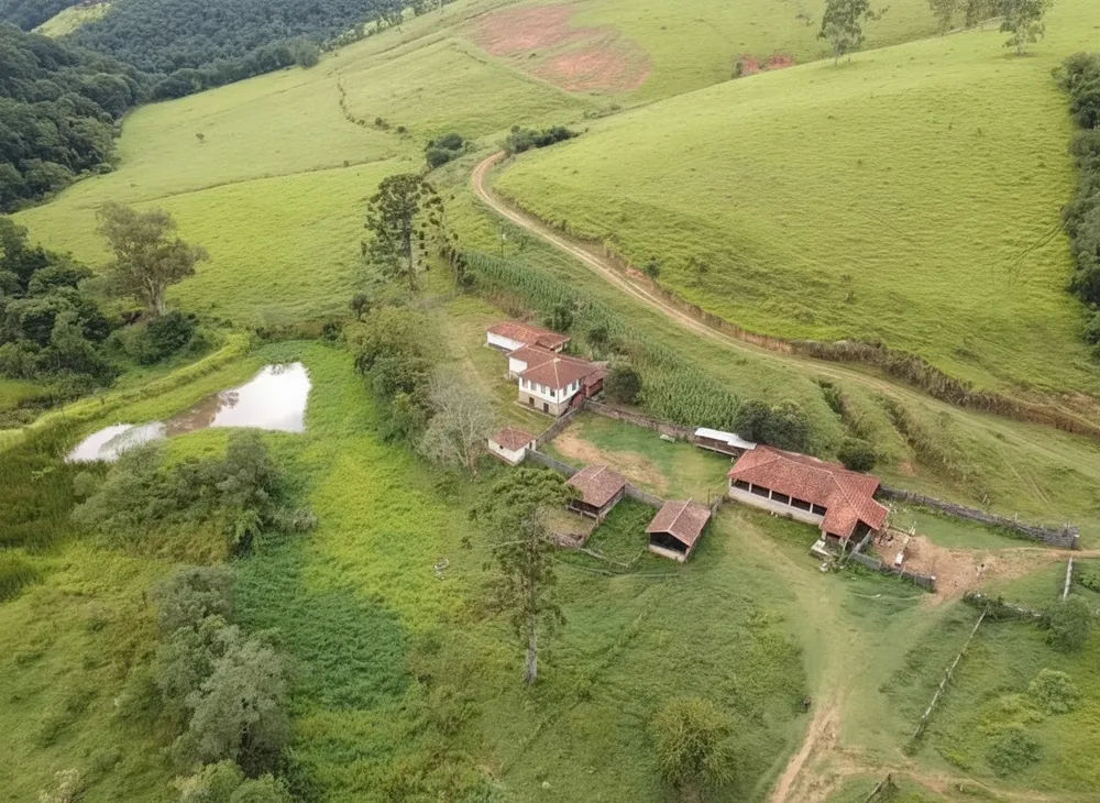 Sítio, 3 quartos, 53 hectares - Foto 2