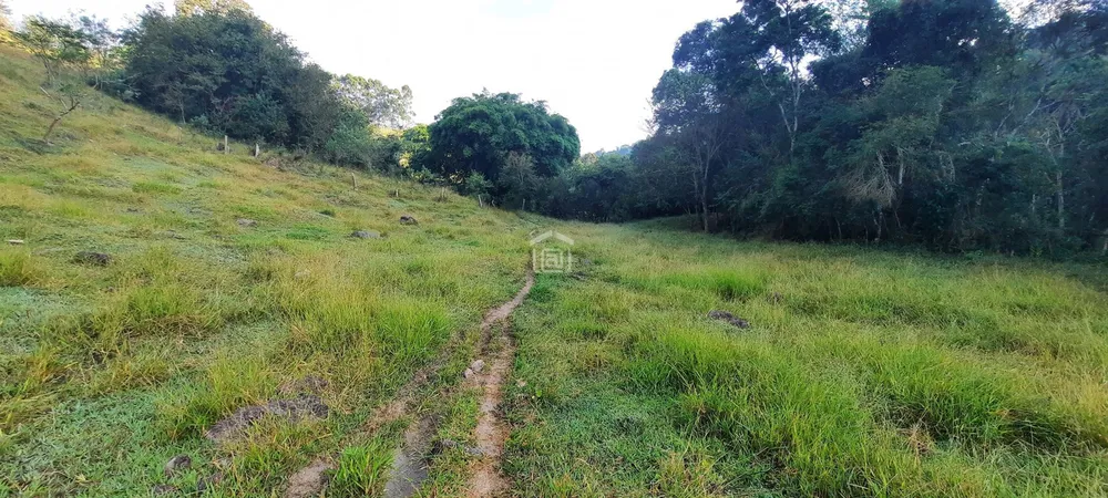 Sítio, 3 hectares - Foto 4
