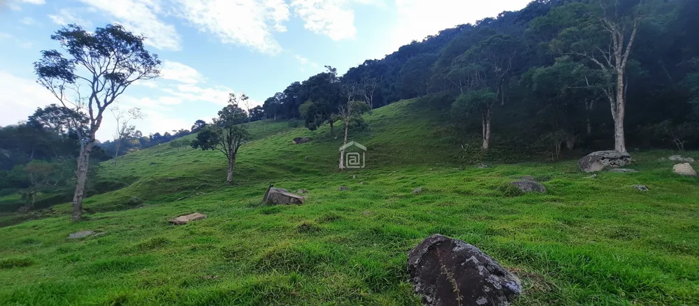 Sítio, 3 hectares - Foto 1