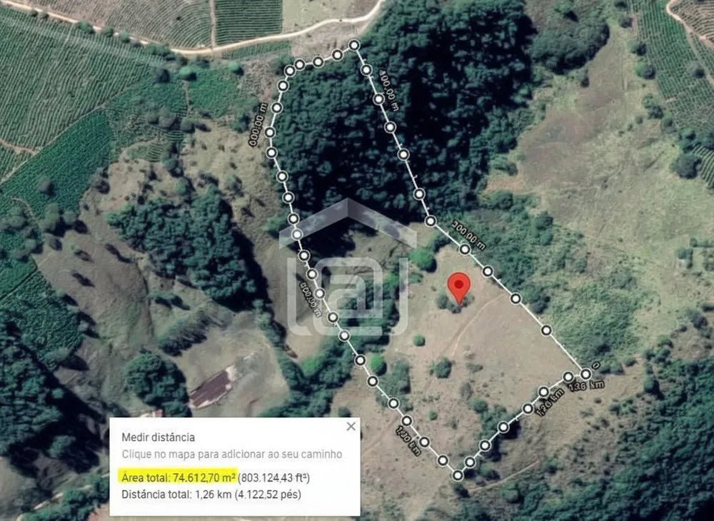 Sítio, 3 hectares - Foto 3