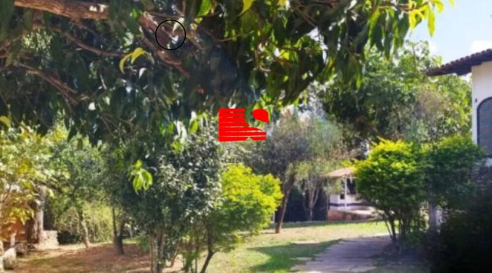 Casa, 5 quartos, 3662 m² - Foto 8