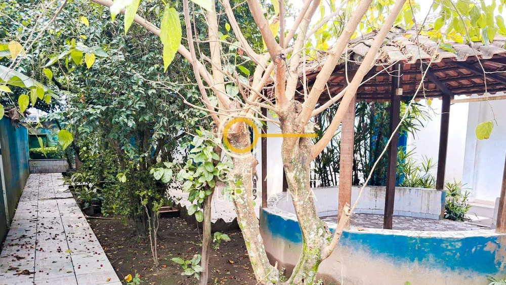 Casa, 4 quartos, 755 m² - Foto 6