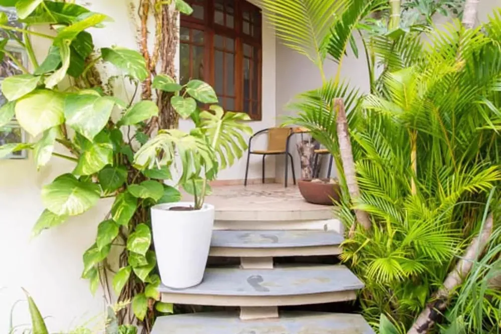 Casa, 4 quartos, 285 m² - Foto 15