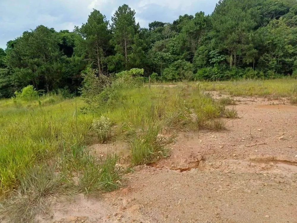 Terreno, 2 hectares - Foto 10