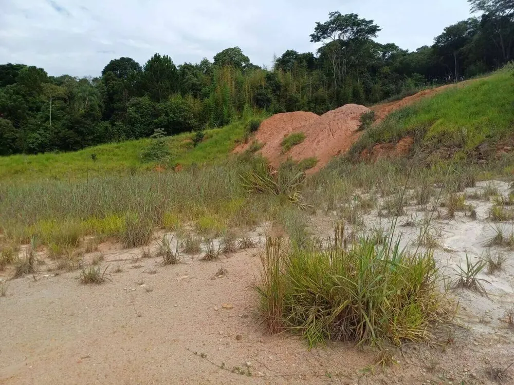 Terreno, 2 hectares - Foto 9
