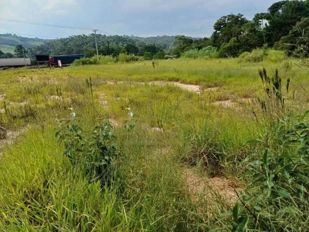 Terreno, 2 hectares - Foto 11