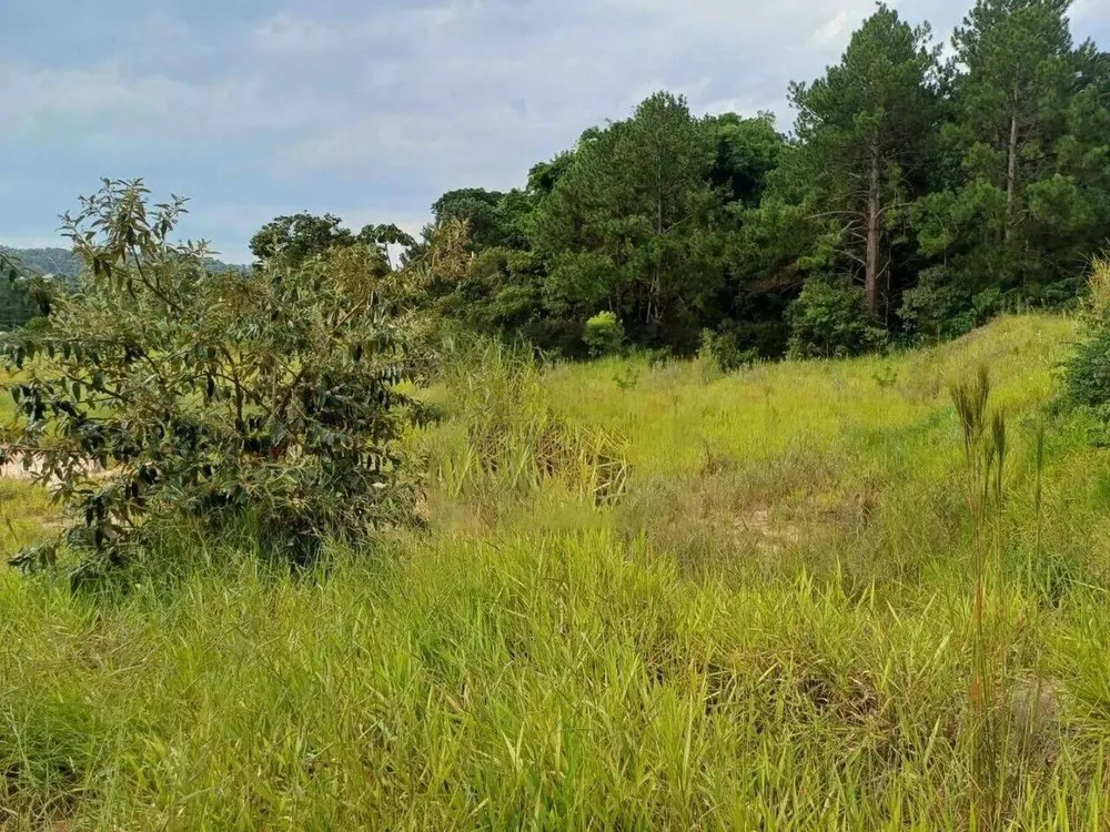 Terreno, 2 hectares - Foto 12