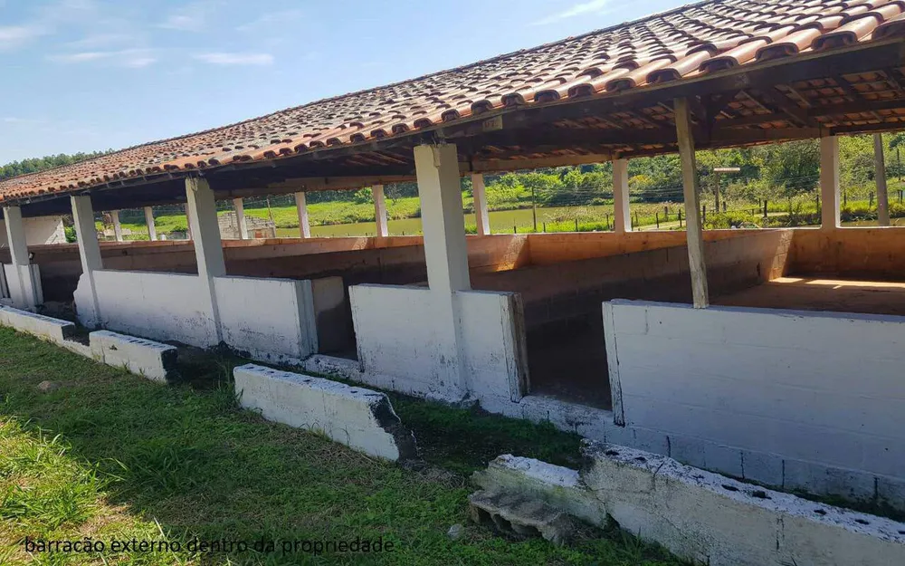 Sítio, 7 quartos, 2 hectares - Foto 4