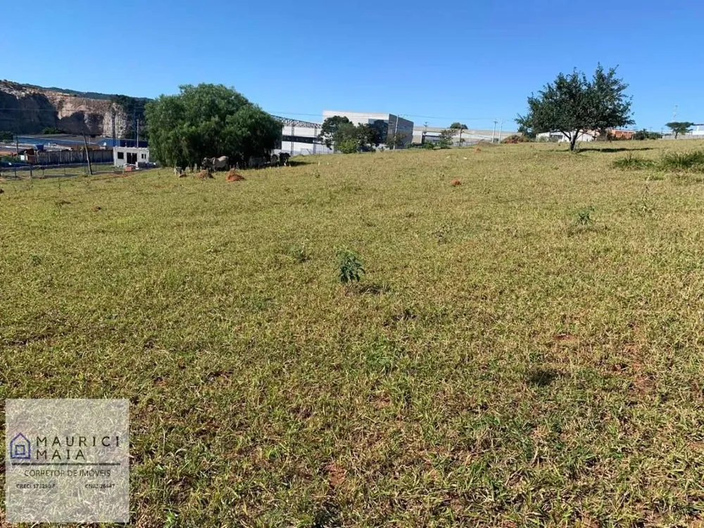 Terreno, 5204 m² - Foto 7