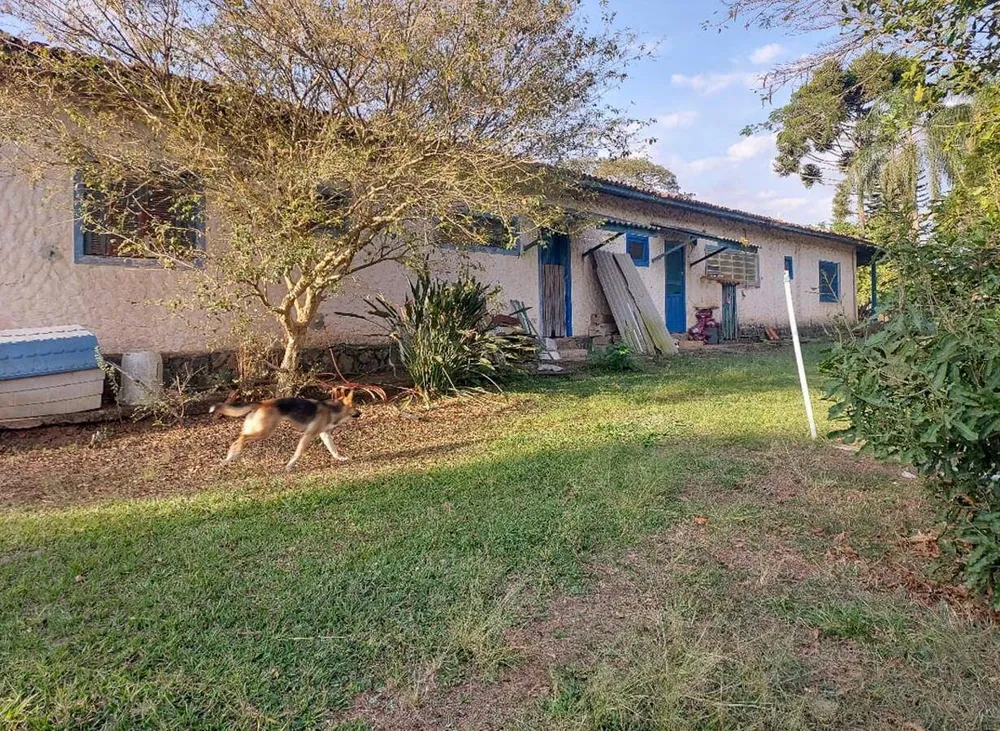 Terreno, 4 hectares - Foto 9