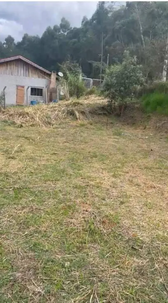 Terreno - Foto 1