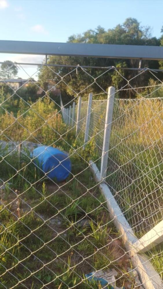 Chácara - Foto 5