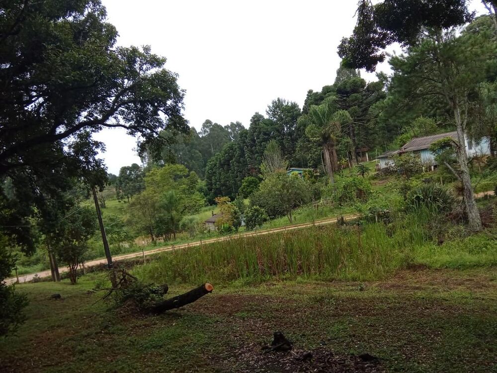 Chácara à venda - Foto 12