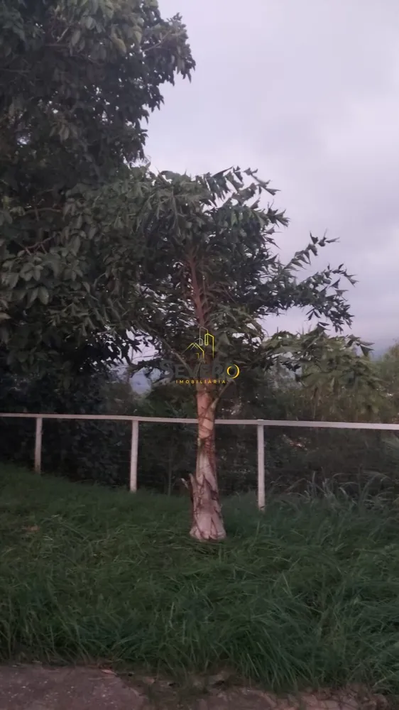 Terreno, 600 m² - Foto 3