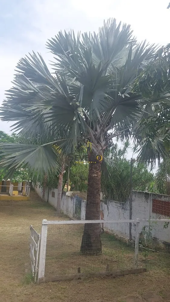Terreno, 600 m² - Foto 27