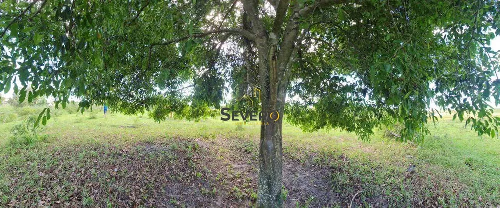 Fazenda-Sítio-Chácara, 13 hectares - Foto 8